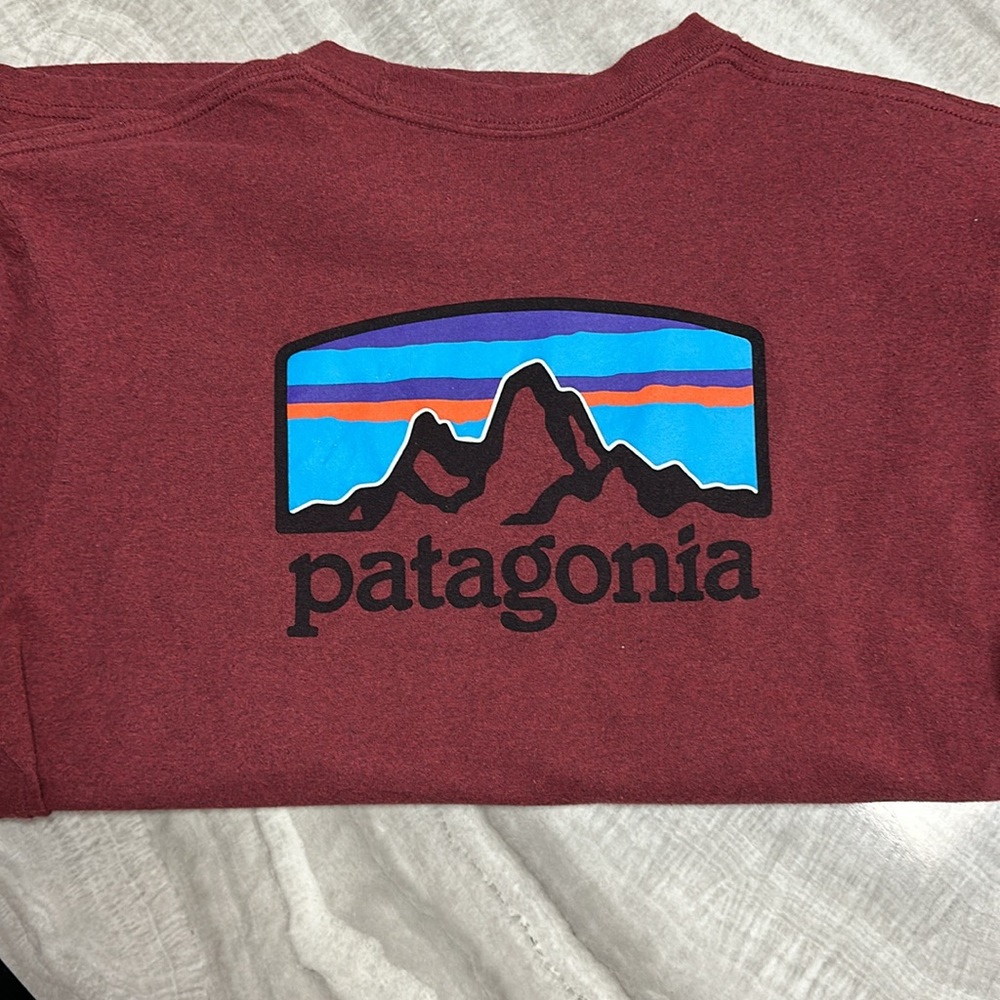 Patagonia t shirt
